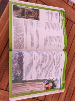 Lengua castellana y Literatura 1.º Bachillerato...