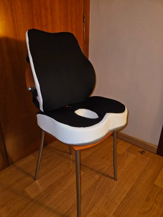 Cojines para coche (asiento y respaldo)