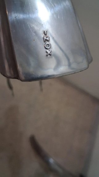 Coppia Parafanghi Inox Bici