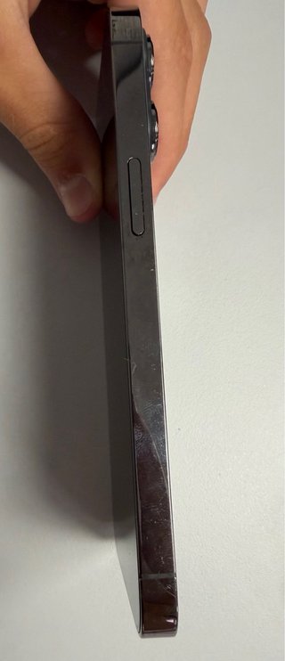 iPhone 13 Pro 256GB Impecable | 79% batería