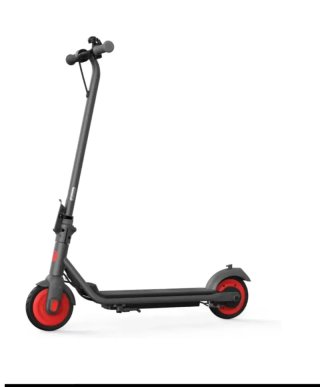 Patinete Eléctrico Segway-Ninebot C20