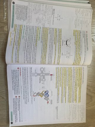 Biología 2º Bachillerato, oxford (geniox pro)