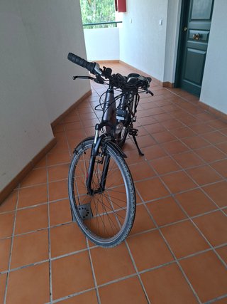 Bicicleta Eléctrica BH Evolución City