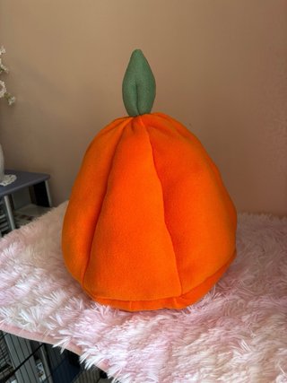 Cuccia Zucca per piccoli animali Furetti Ratti
