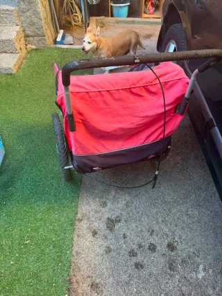 Carrito bebe running