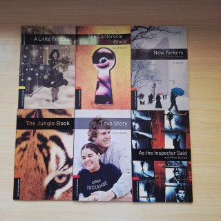 Lote 17 libros de lectura en inglés A1-C1