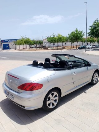 Peugeot 307 2006