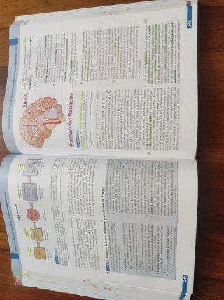 Introducción estudio diferencias individuales UNED