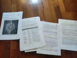 Introducción estudio diferencias individuales UNED