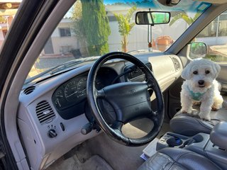 Ford Explorer 1998