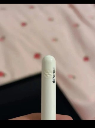 Apple Pencil 2ª Gen (lápiz)