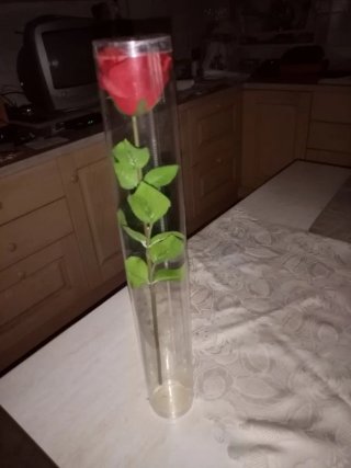 Rosa rossa sintetica in tubo trasparente