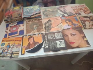 Lote de Discos de Vinilo Variados