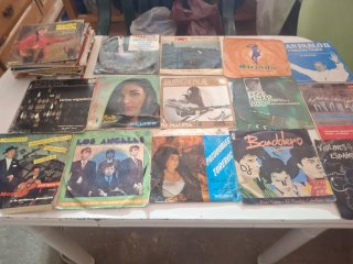 Lote de Discos de Vinilo Variados