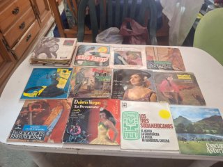 Lote de Discos de Vinilo Variados