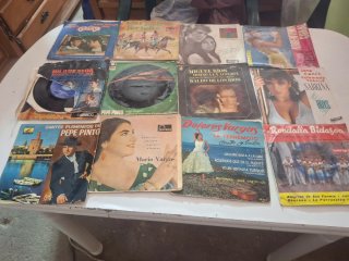 Lote de Discos de Vinilo Variados