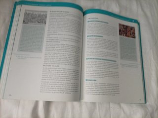 Història de la filosofia 2 BAT