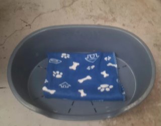 Cama para perro o gato pequeño