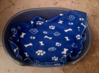 Cama para perro o gato pequeño
