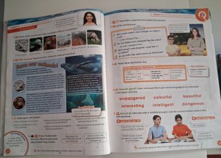 Libro de Inglés 5 de primaria. Ed. Mc. Millan