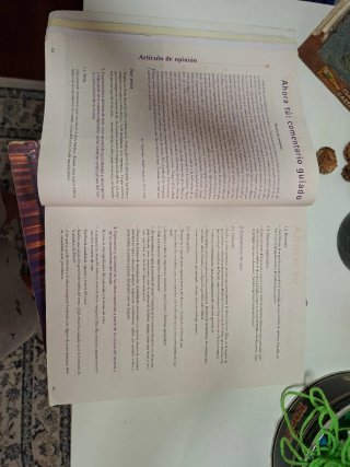 Lengua Castellana y Comentario de Texto 2