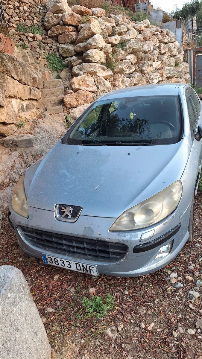 Peugeot 407 2005 - foto 1
