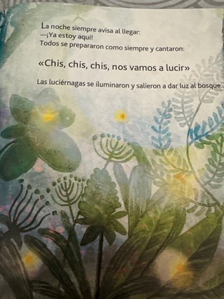 Libro La luz de Lucia