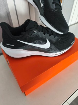 Nike Air Zoom Pegasus 41 Talla 44
