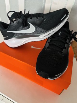 Nike Air Zoom Pegasus 41 Talla 44