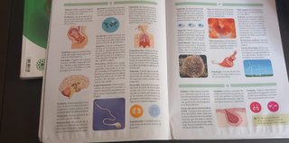 Libro ESO biología y geología