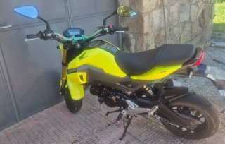 Honda MSX 125 - Moto Naked