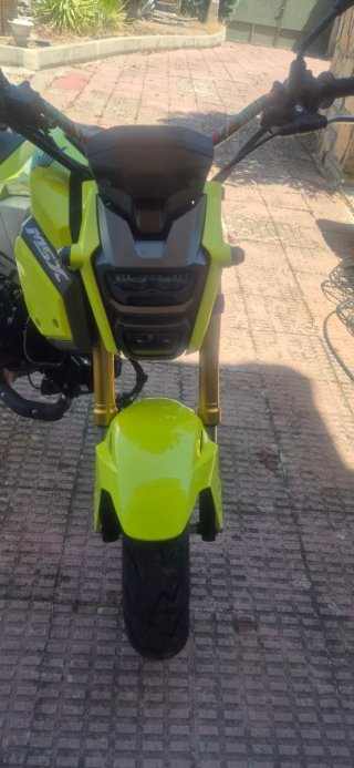 Honda MSX 125 - Moto Naked