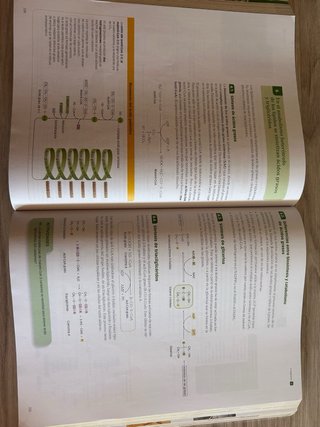 Biología 2 Bachillerato : Serie Observa : Proye...