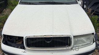 MOLDURA PARAGOLPE DELANTERA Skoda Octavia Berlina (1U2)(2001->)