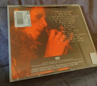 David Bowie Ziggy Stardust The Motion Picture