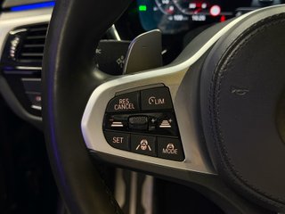 BMW Serie 5 530iA xDrive