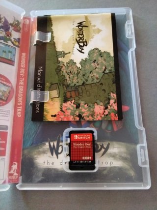 Wonder Boy The Dragon's Trap Switch