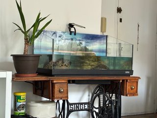 Acuario Tortugas con Luz y Decoración