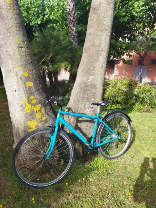 Bicicleta de paseo azul