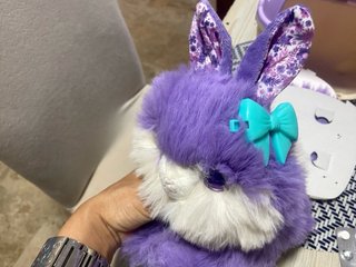 Peluche Gatito Morado con Transportín