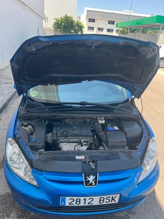Peugeot 307 2002