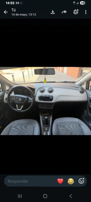 SEAT Ibiza 2010