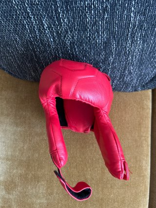 Guantes de boxeo, tibiales Buddha y casco