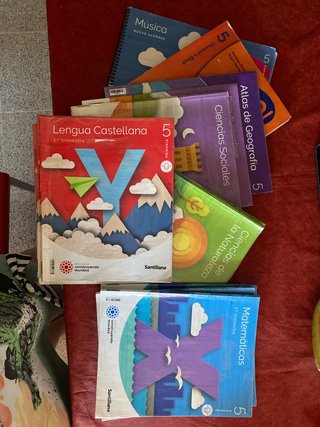 Lote libros de 5º primaria