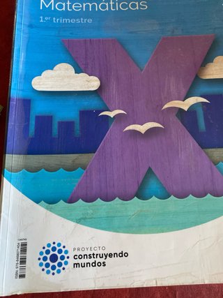 Lote libros de 5º primaria