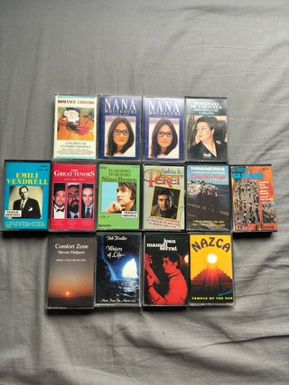 Lote de 14 Casetes Variados