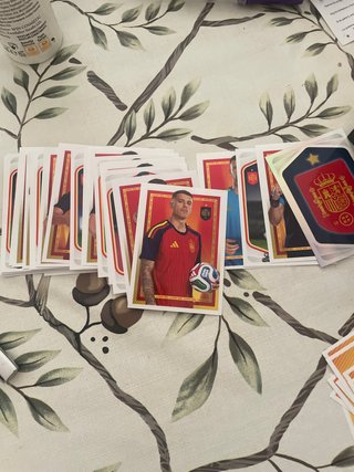 Cromos Selección Española Carrefour