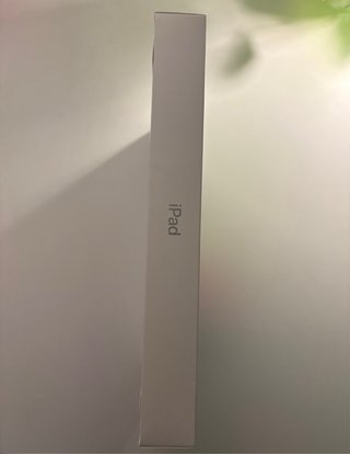 iPad 10ª Gen 256GB WIFI