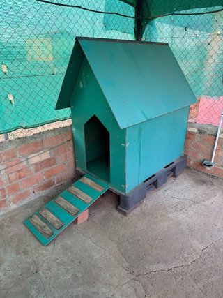 Caseta para perro verde con rampa
