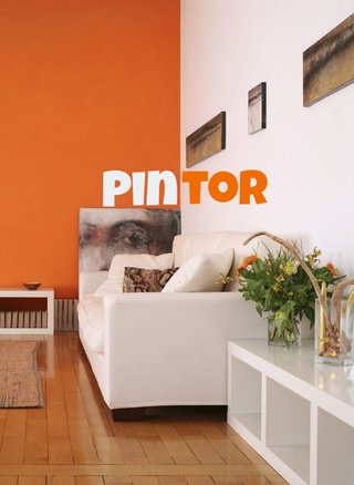 Pintor económico